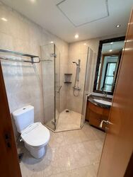 Ardmore Park (D10), Condominium #501873481